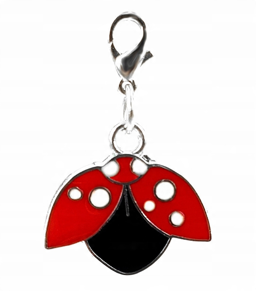 

Zawieszka charms biedronka