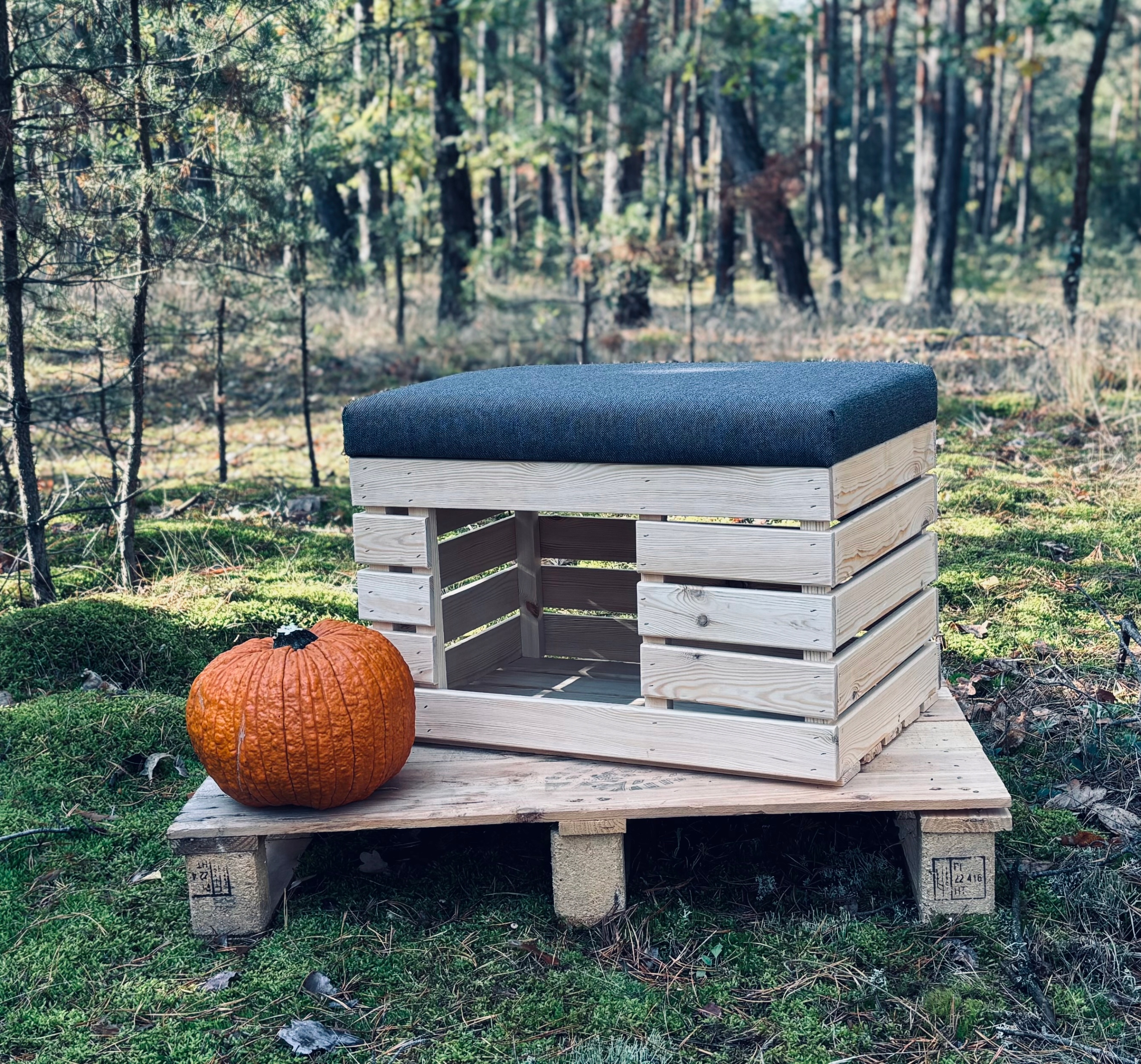 LEGOWISKO DLA KOTA PSA Pufa skrzynia 60 maskownica Wysokość mebla 42 cm