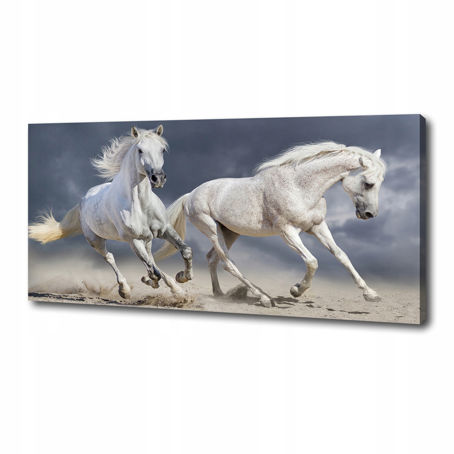 

Obraz canvas do salonu Białe konie plaża 125x50 cm