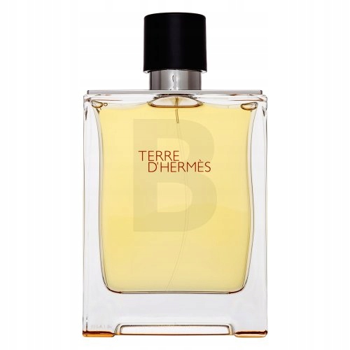 Hermès Terre D'Hermes čistý parfém pro muže 200 ml