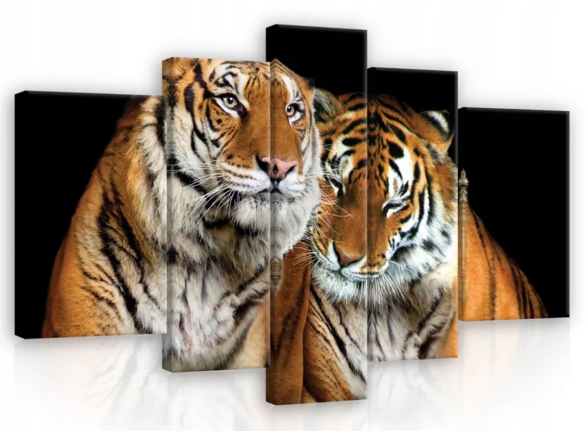 Obraz Na Plátne Canvas 170x100 Tiger Pár Láska