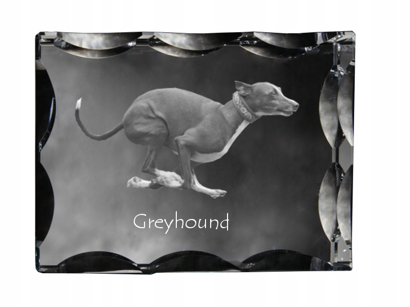 Greyhound fotografia psa v ozdobnom kryštáli, suvenír, dekorácia domu