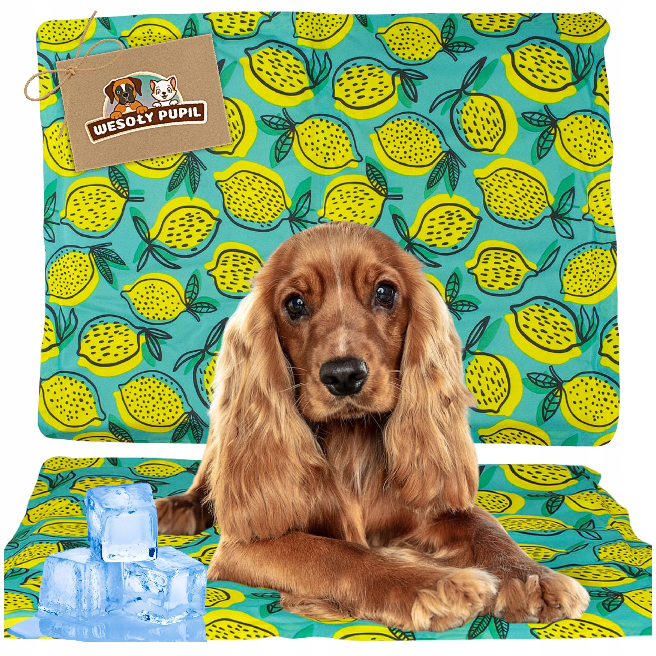 Levně Wesoły Pupil podložka pro psa, vícebarevná, 65 cm x 50 cm