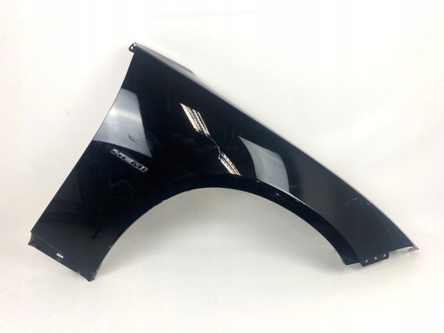 Dodge Charger 2015+ fender right front front
