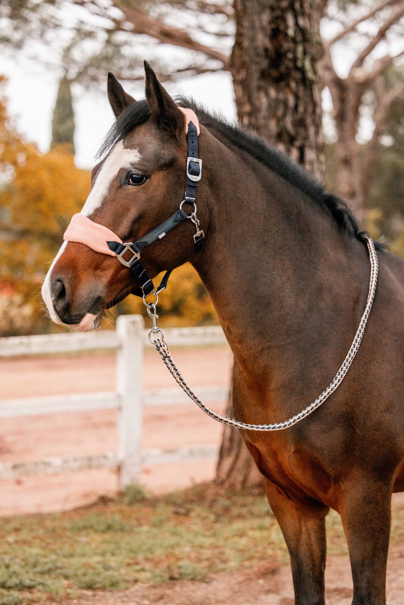 Horze Trixi Kantar Dark Navy Cob