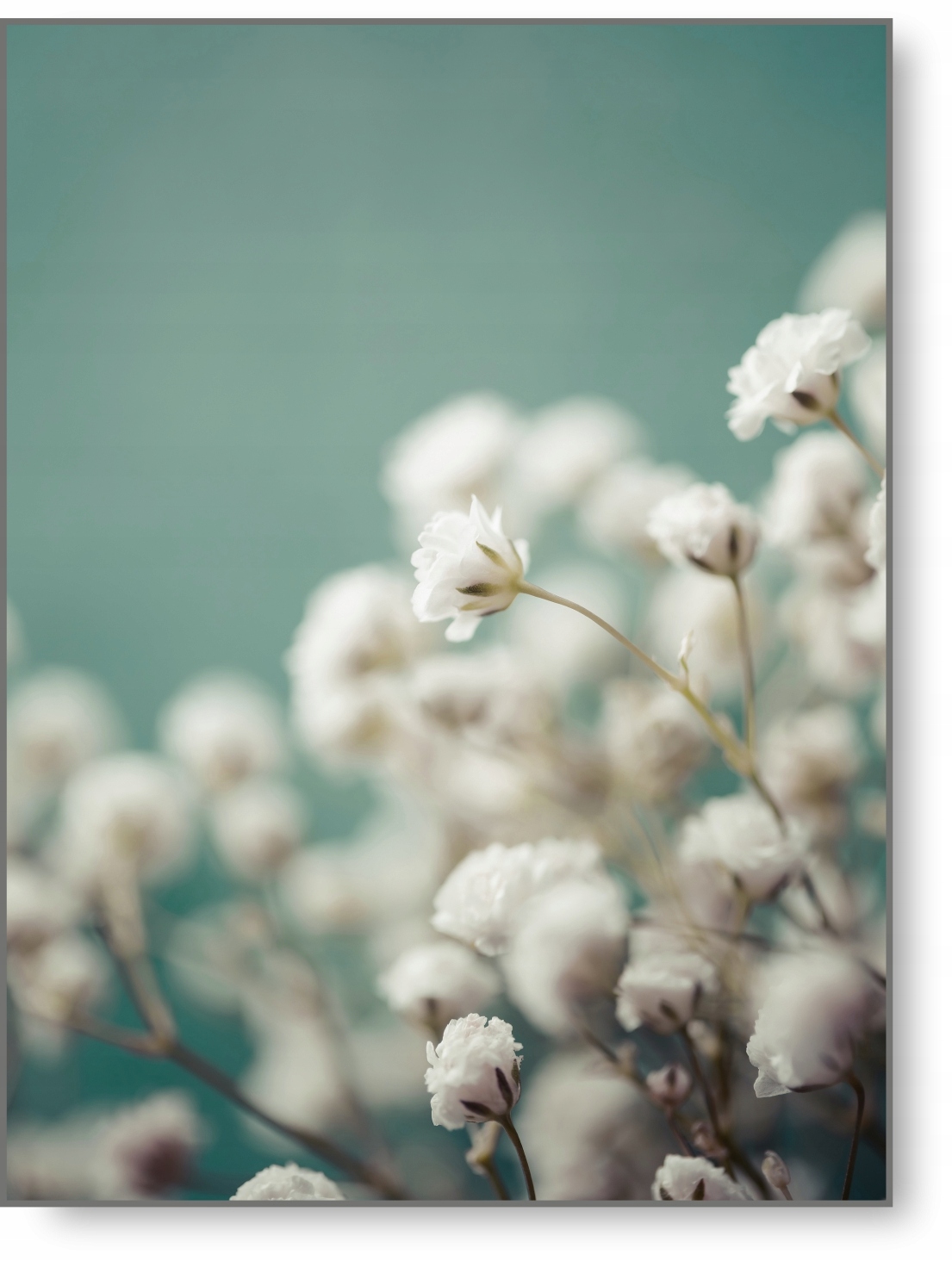 

Drzewo Zieleń Boho plakat B2 50x70cm obraz #230