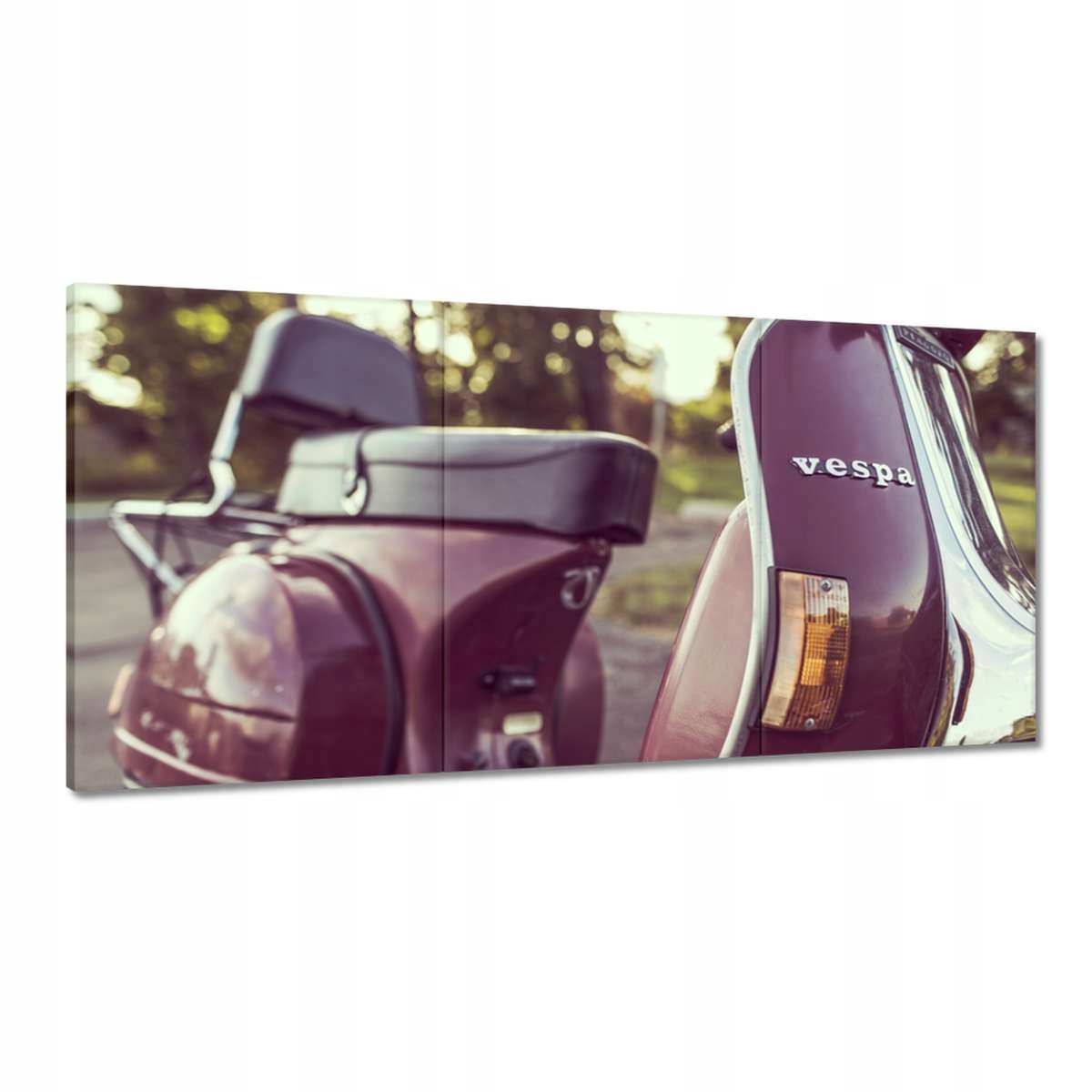 Obrazy 180x90 Vintage foto Vespa