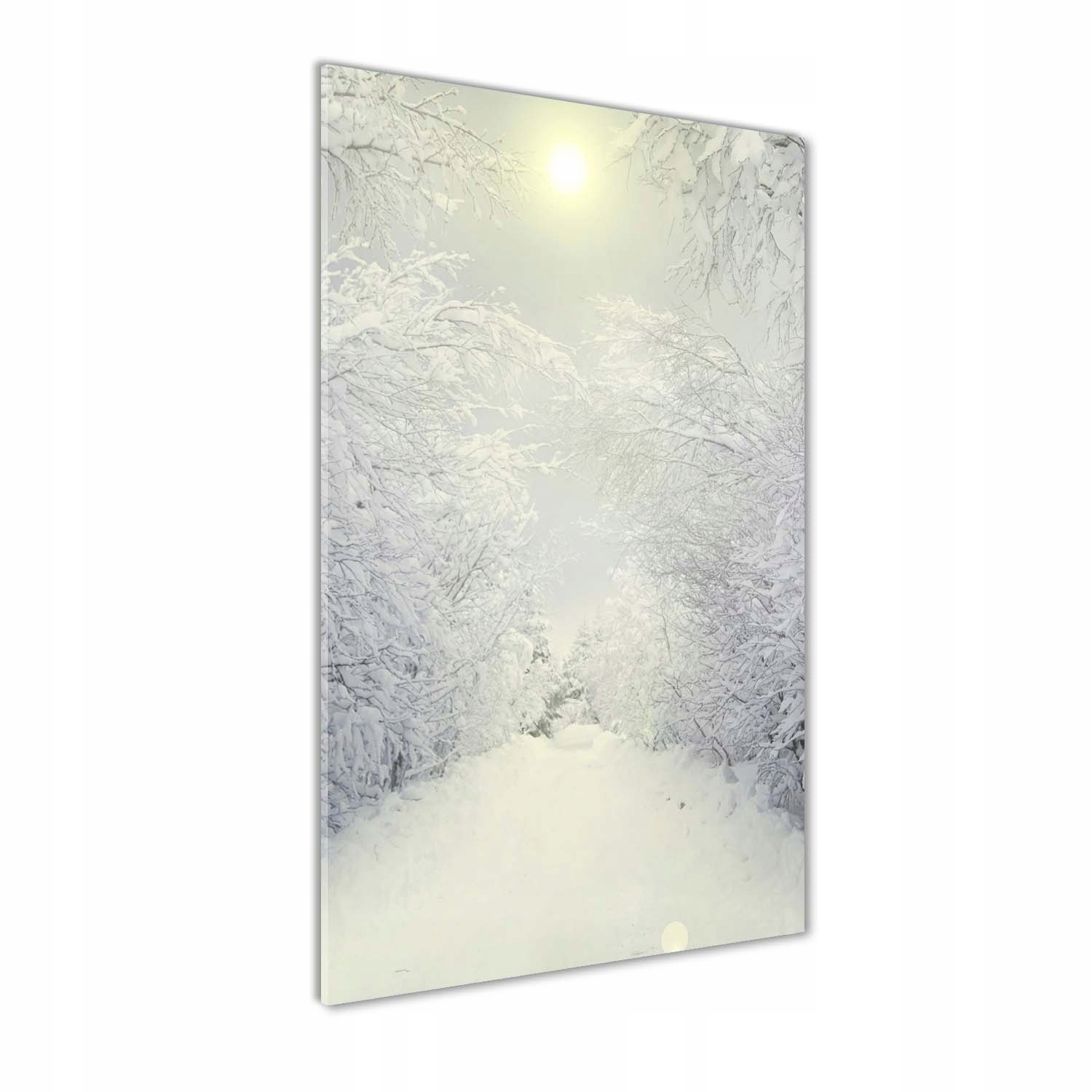 

Foto obraz akrylowy na ścianę Las zimą 70x140 cm
