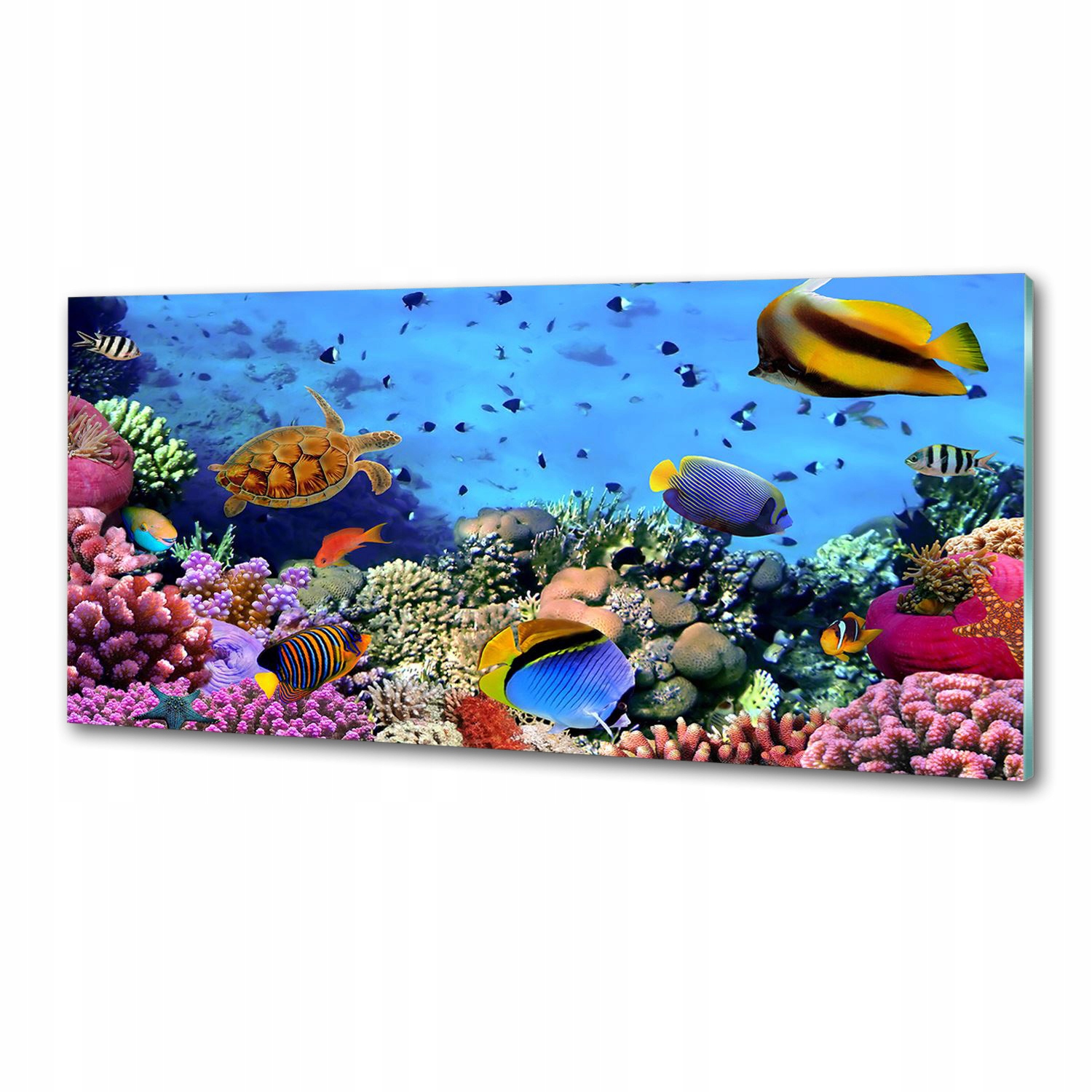 Panel do kuchyne Koralový útes 125x50 cm Lepidlo