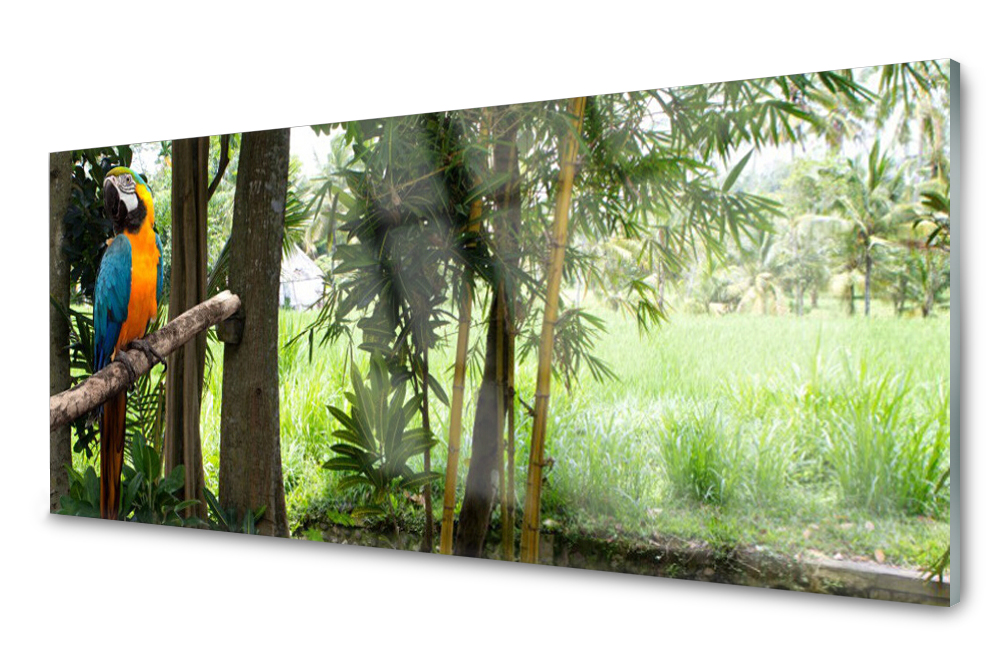 Sklenený panel do kuchyne Papagáj Stromy 125x50
