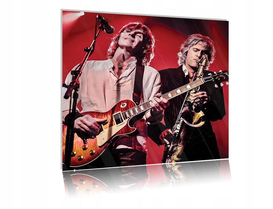 

Obraz szklany na szkle Dire Straits 02 30x30