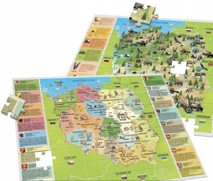 Geopuzzle Piękna Polska 108 EL Lisciani Geniusz Wiek dziecka 5 lat +