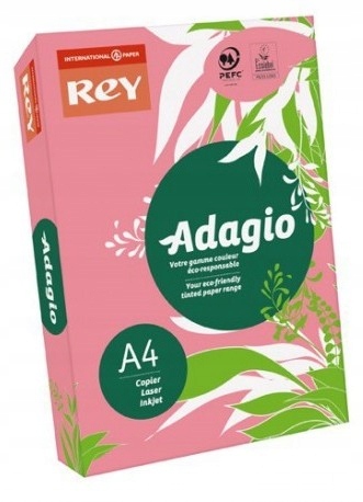 

Papier ksero kolorowy A4 80g 500ark malinowy