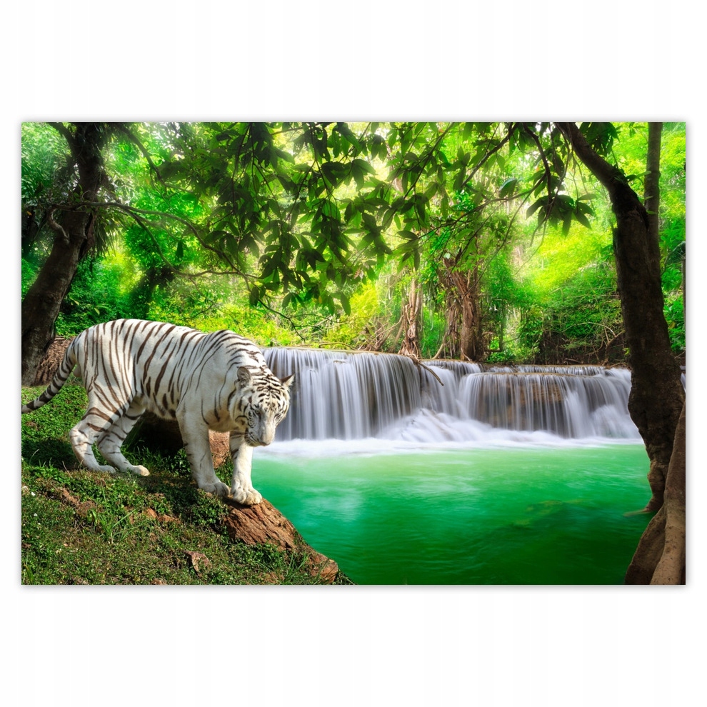 

Fototapety flizelina 416x290 przy wodospadzie