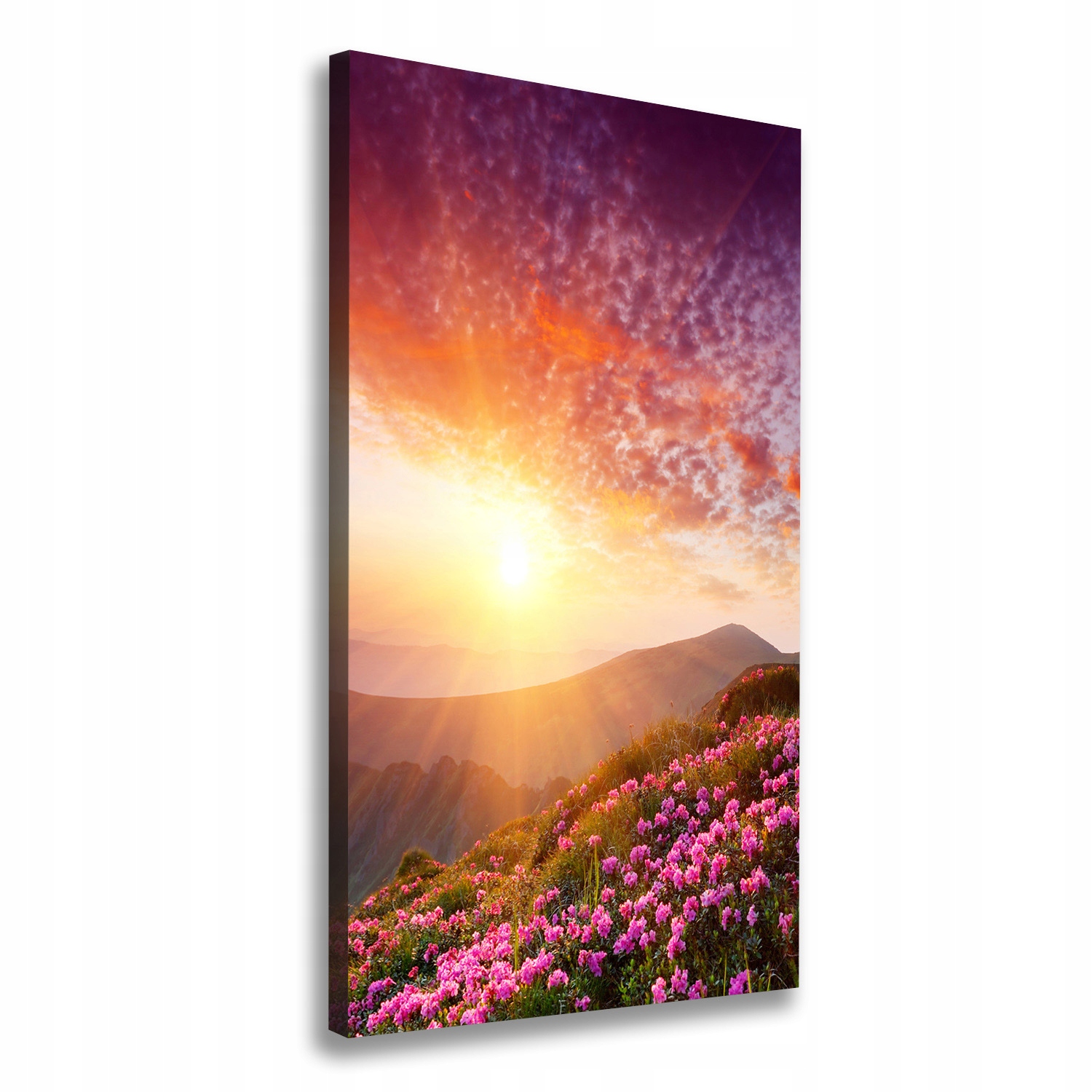 Fotoobraz obraz na plátně Jaro v horách 70x140 cm
