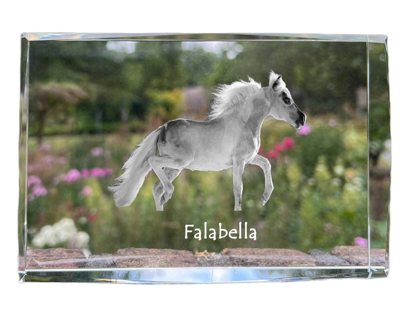 Falabella kryształ ze zdjęciem konia, zdjęcie w szkle, nowoczesna ekspozy