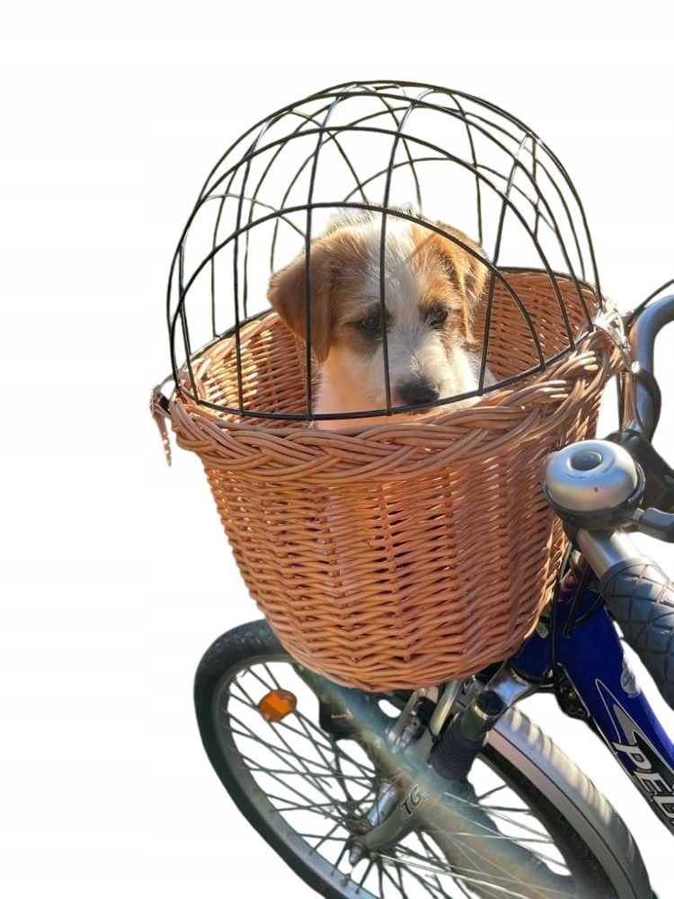 Transporter wiklinowy dla Psa Kota Koszyk z wikliny z kratką do 10kg