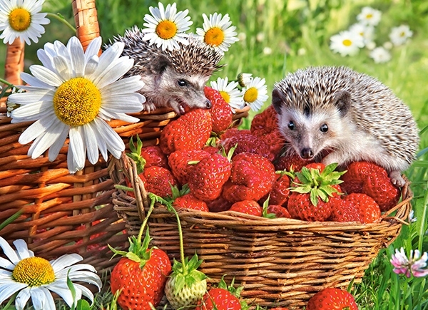 PUZZLE 200 UKŁADANKA DLA DZIECI ZWIERZĘTA JEŻE KWIATY TRUSKAWKI 9+ CASTOR