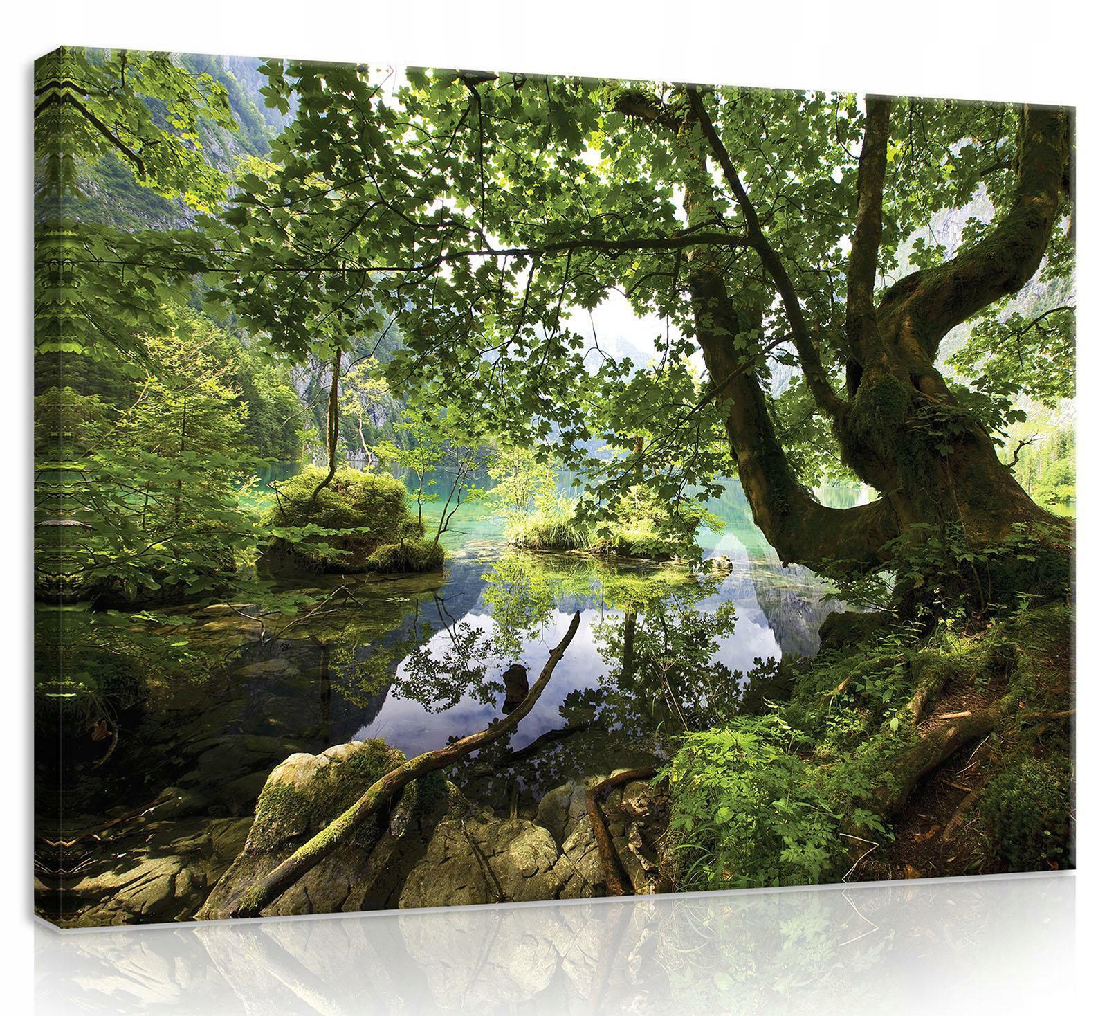 Obraz Na Plátně Canvas 80x60 Les Voda Krajina