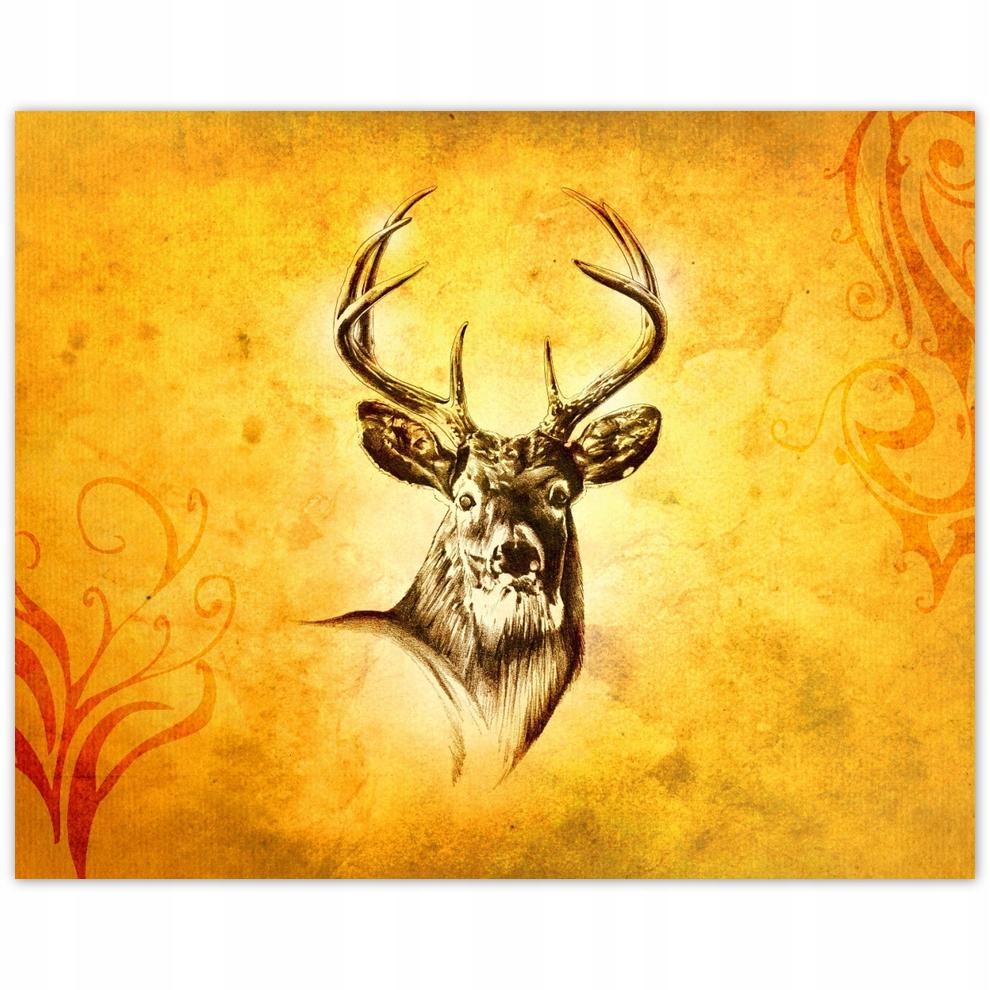 

Plakat 50x40 Głowa jelenia z rogami