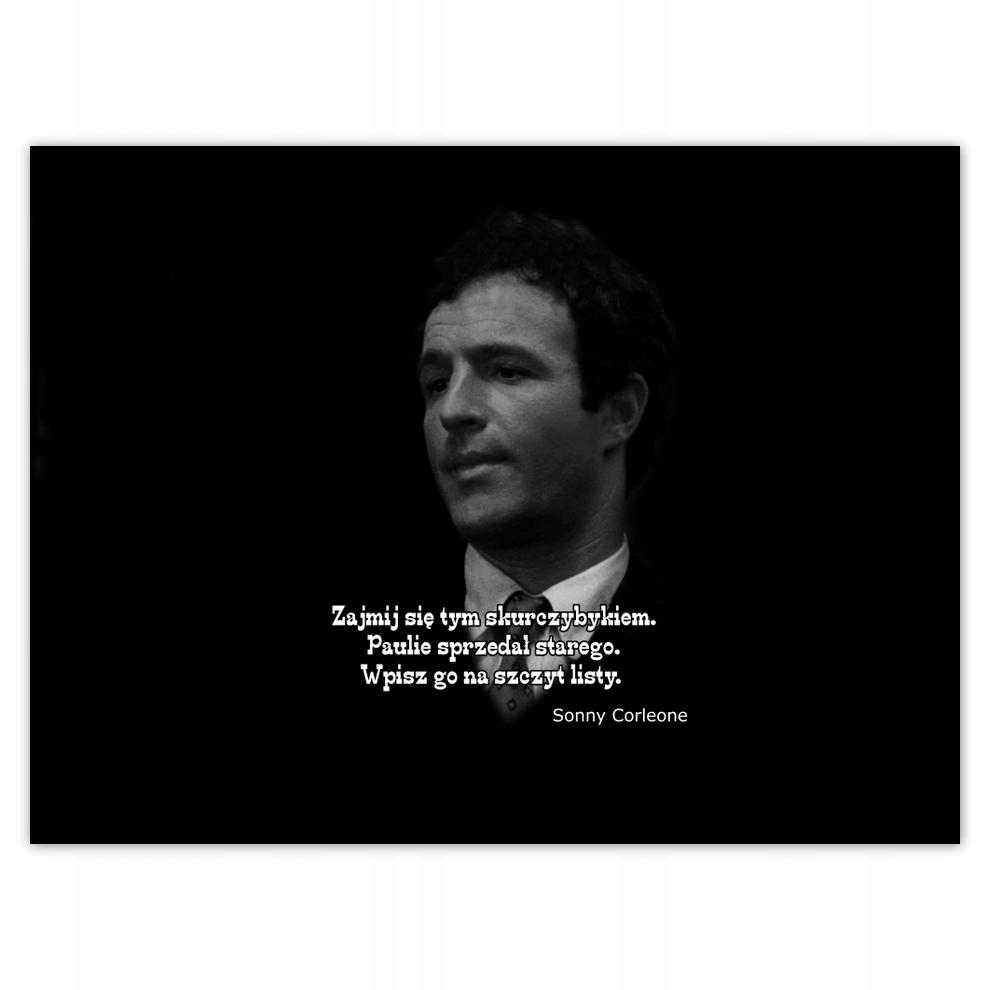 

Plakat 40x30 Godfather Sonny Cytaty