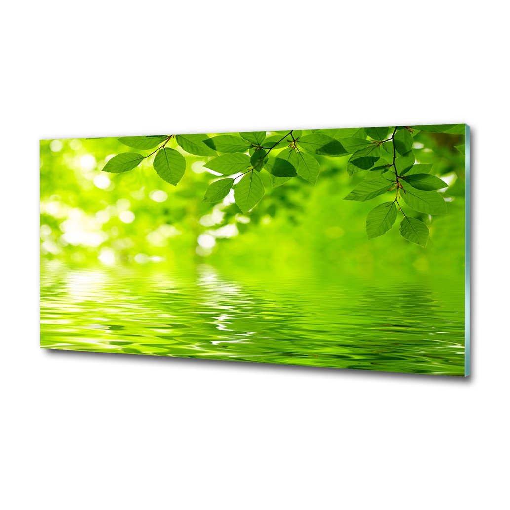 Sklenený obraz darček do obývačky Zelené listy 120x60