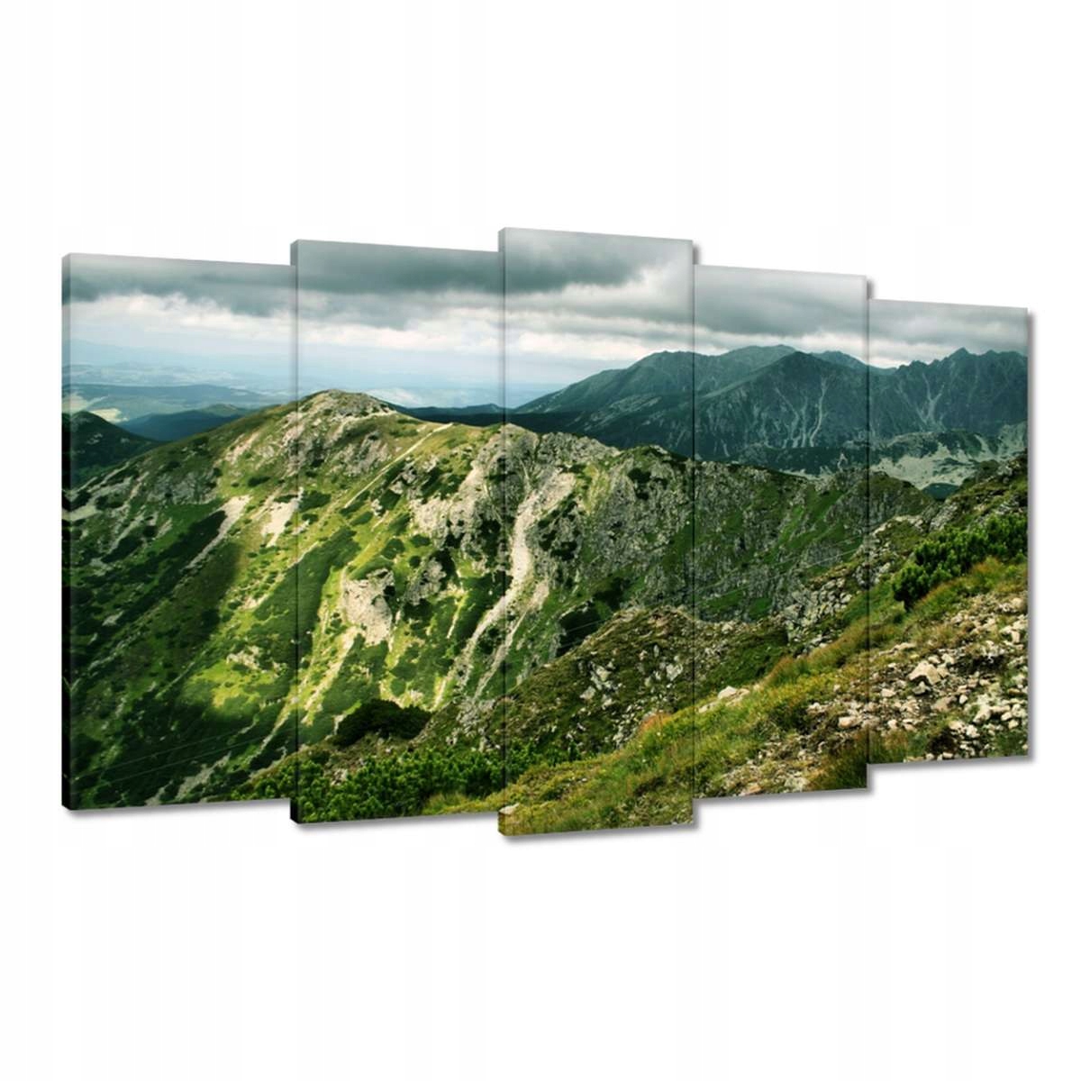 Obrazy 100x60 Tatry Polské hory Pohled