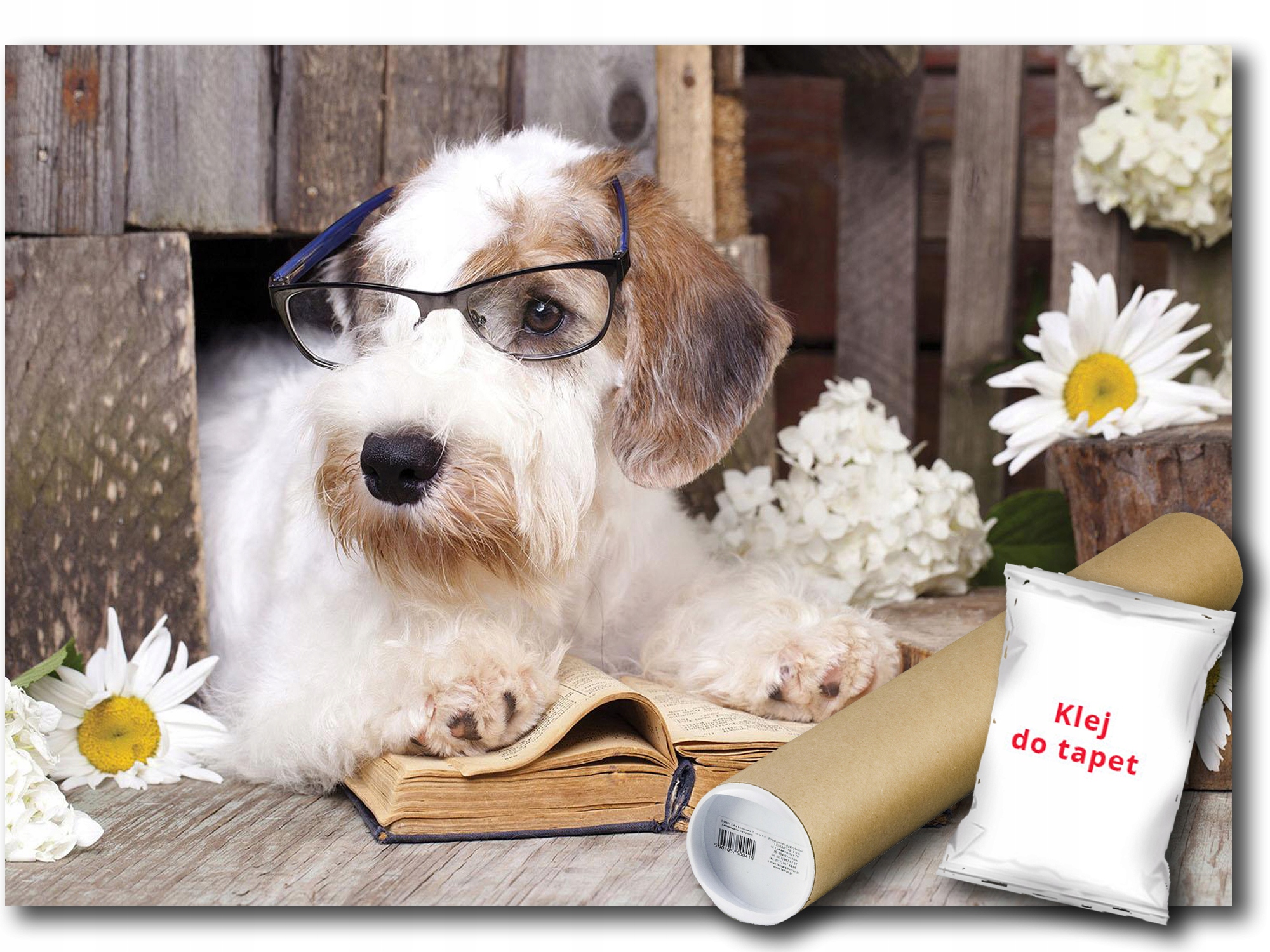 Vinylová Fototapeta Pes Kniha Terrier 208x146