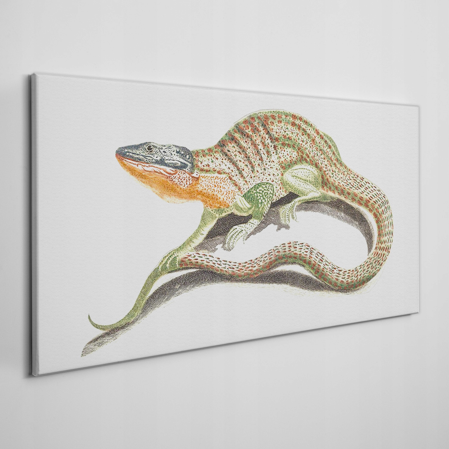 

Obraz na ramie płótno Zwierzę jaszczurka 100x50 cm