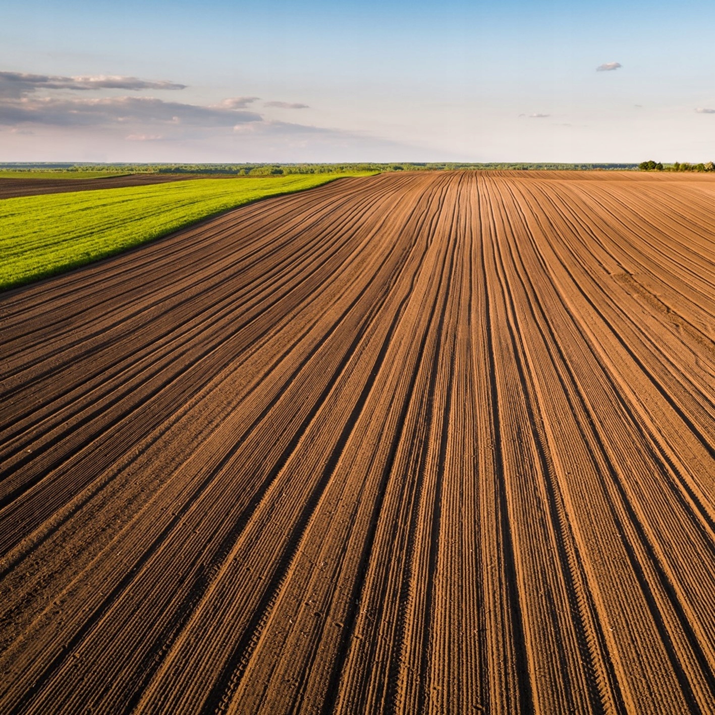 Niwelator terenu ręczny 90cm x 30 cm + Trzonek aluminiowy Szerokość głowicy 30 cm