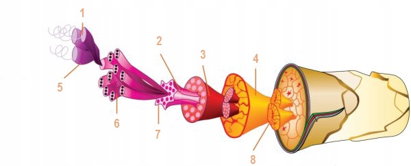 Rękawiczki rowerowe Brubeck Wełna MERINO L/XL Rozmiar L/XL