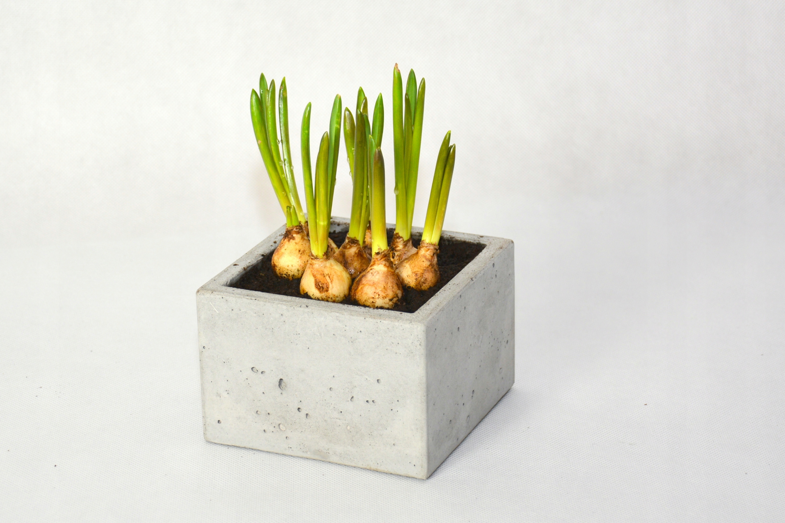 Doniczka betonowa 13x13x9cm