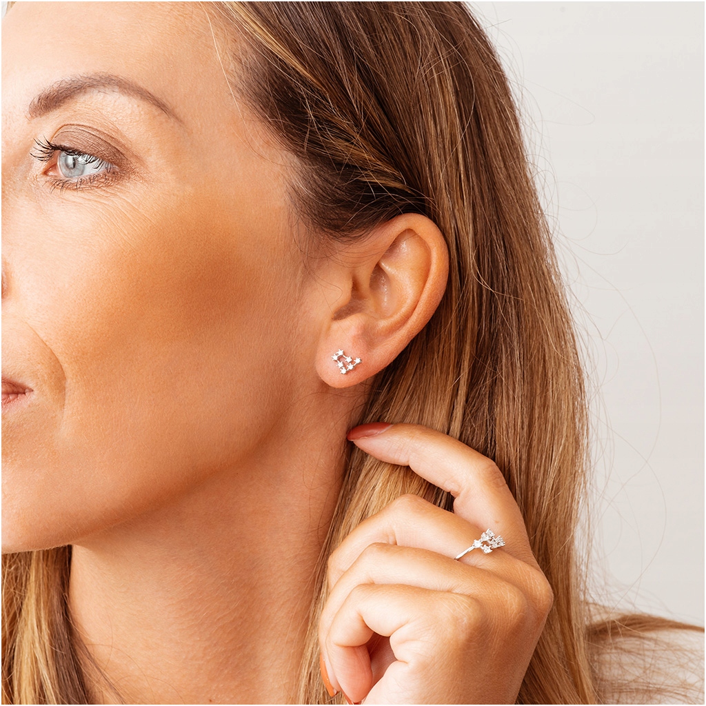 Kolczyki srebrne znak zodiaku KOZIOROŻEC 925 Kod producenta kolczyki damskie srebrne RK0044#R-04