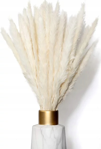 TRAWA PAMPASOWA BIAŁA SLIM BUKIET 15SZT PAMPASY KREMOWA BIEL