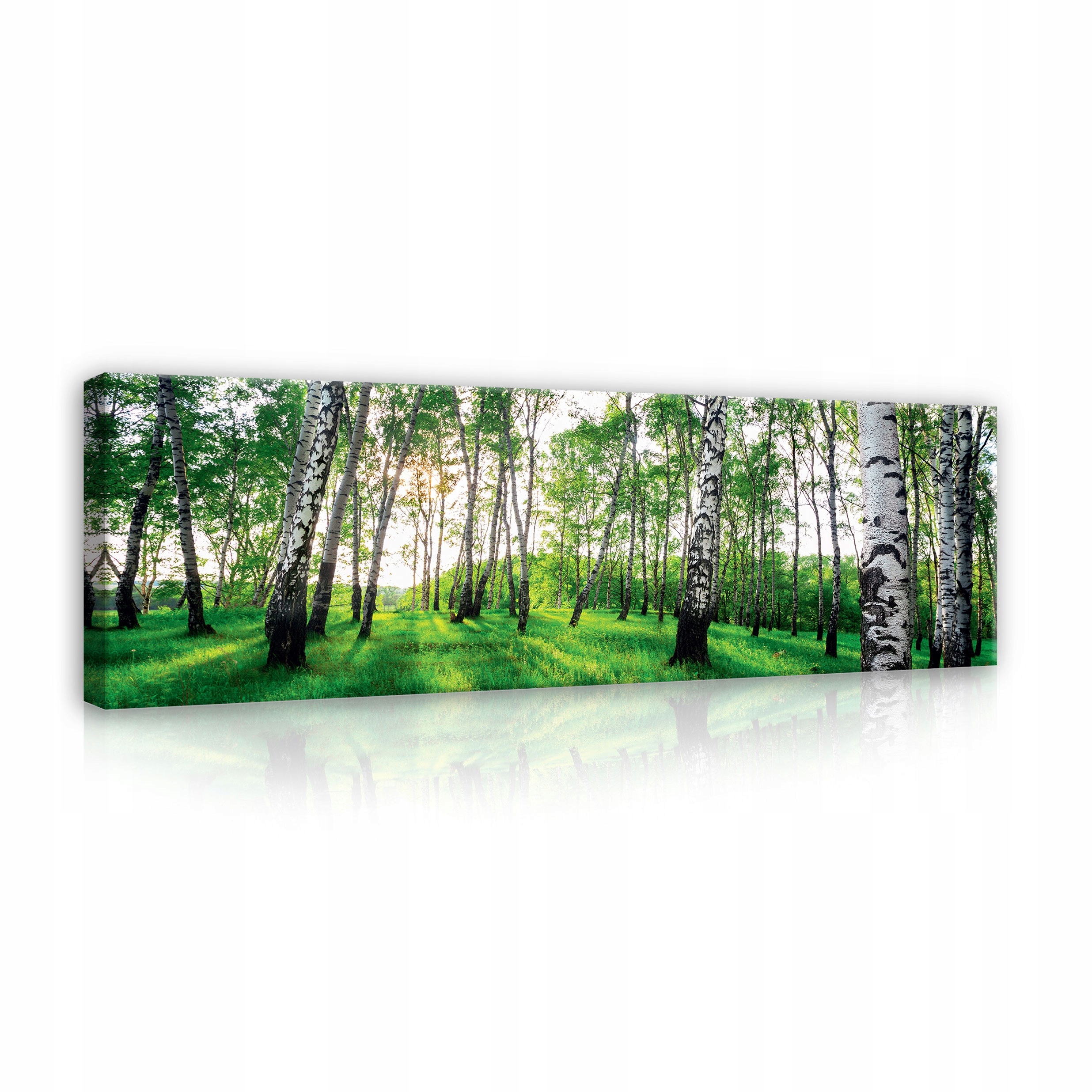 Obraz Březový Les Příroda Do Ložnice Obýváku Na Plátně Na Zeď Velký 145x45