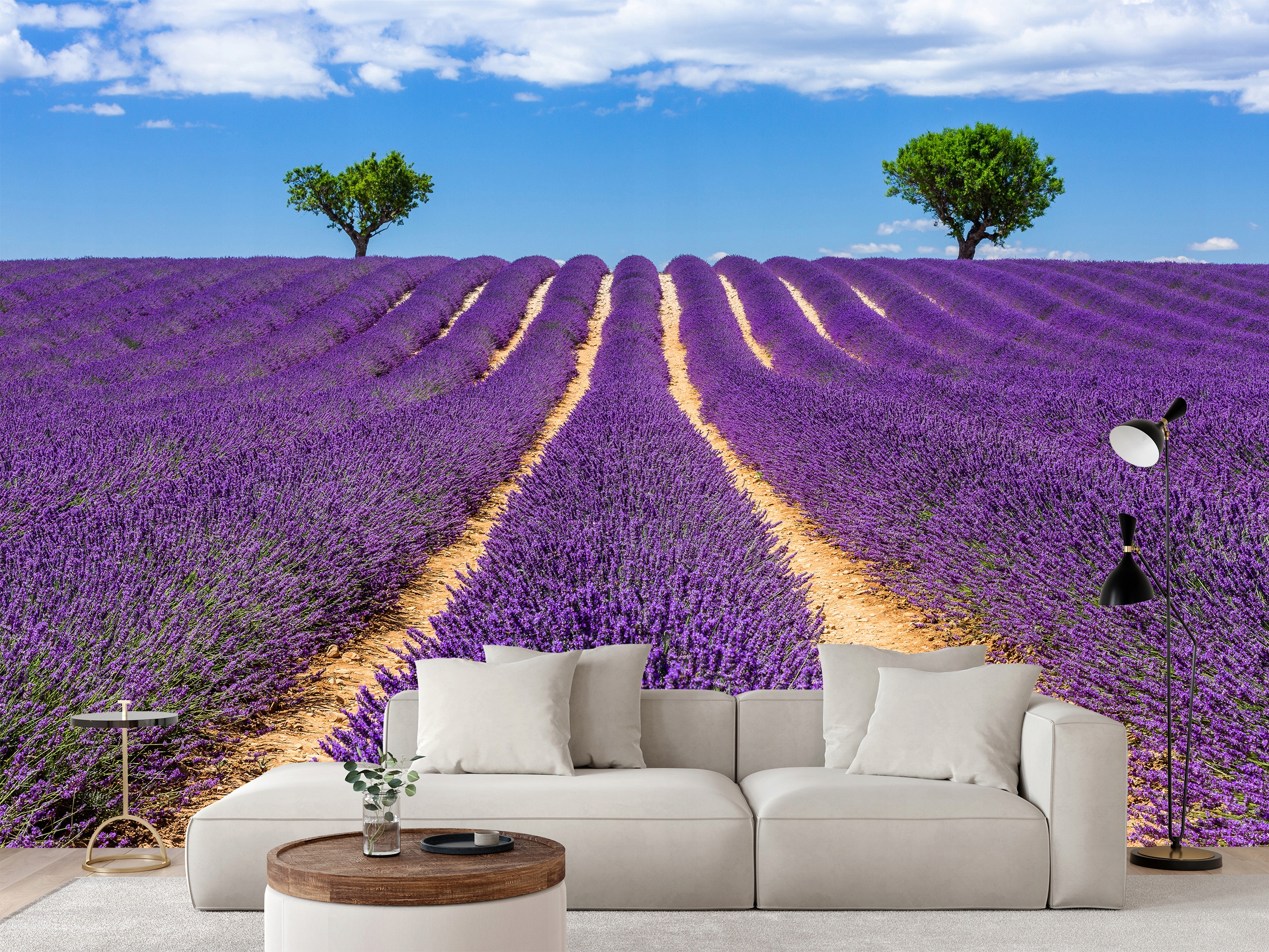 Fototapeta Fialové Pole Levandule Příroda Provence Francie 360 x 240 cm