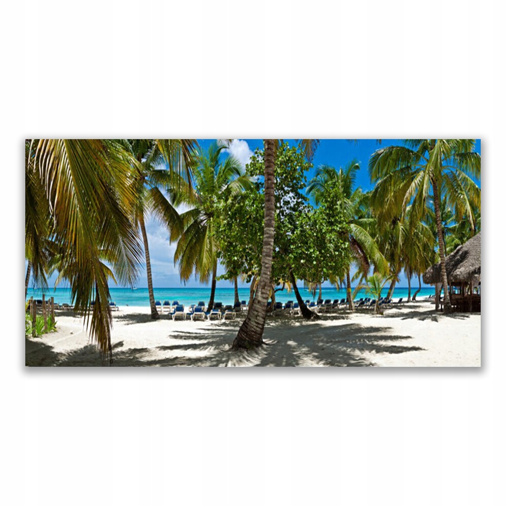 

Obraz akrylowy 140x70 Plaża Palma Drzewa Krajobraz