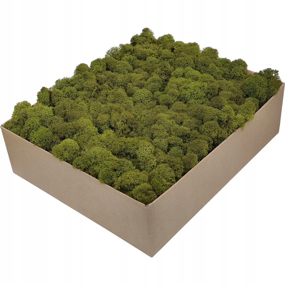 Mech Chrobotek Premium Mid Green Karton 600 g
