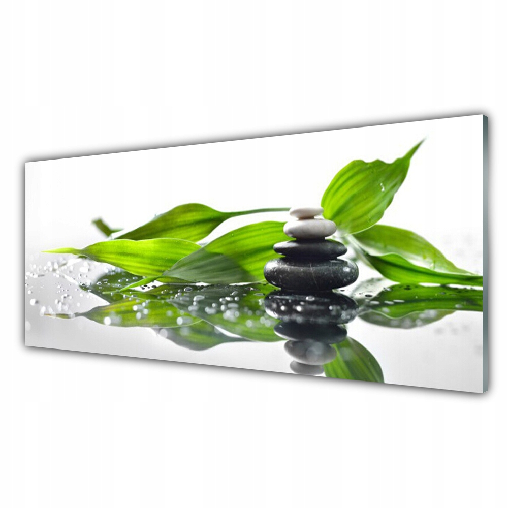 

Obraz akryl ścienny 125x50 Kamienie Liście Sztuka