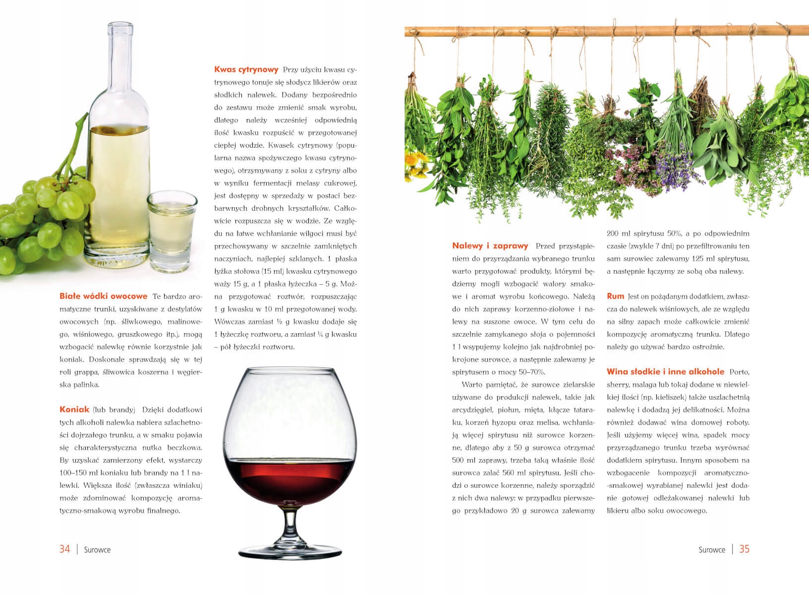 ATLAS NALEWEK POLSKICH RECEPTURY SKKŁADNIKI PORADY DOMOWE SPOSOBY PORADNIK ISBN 9788382227949