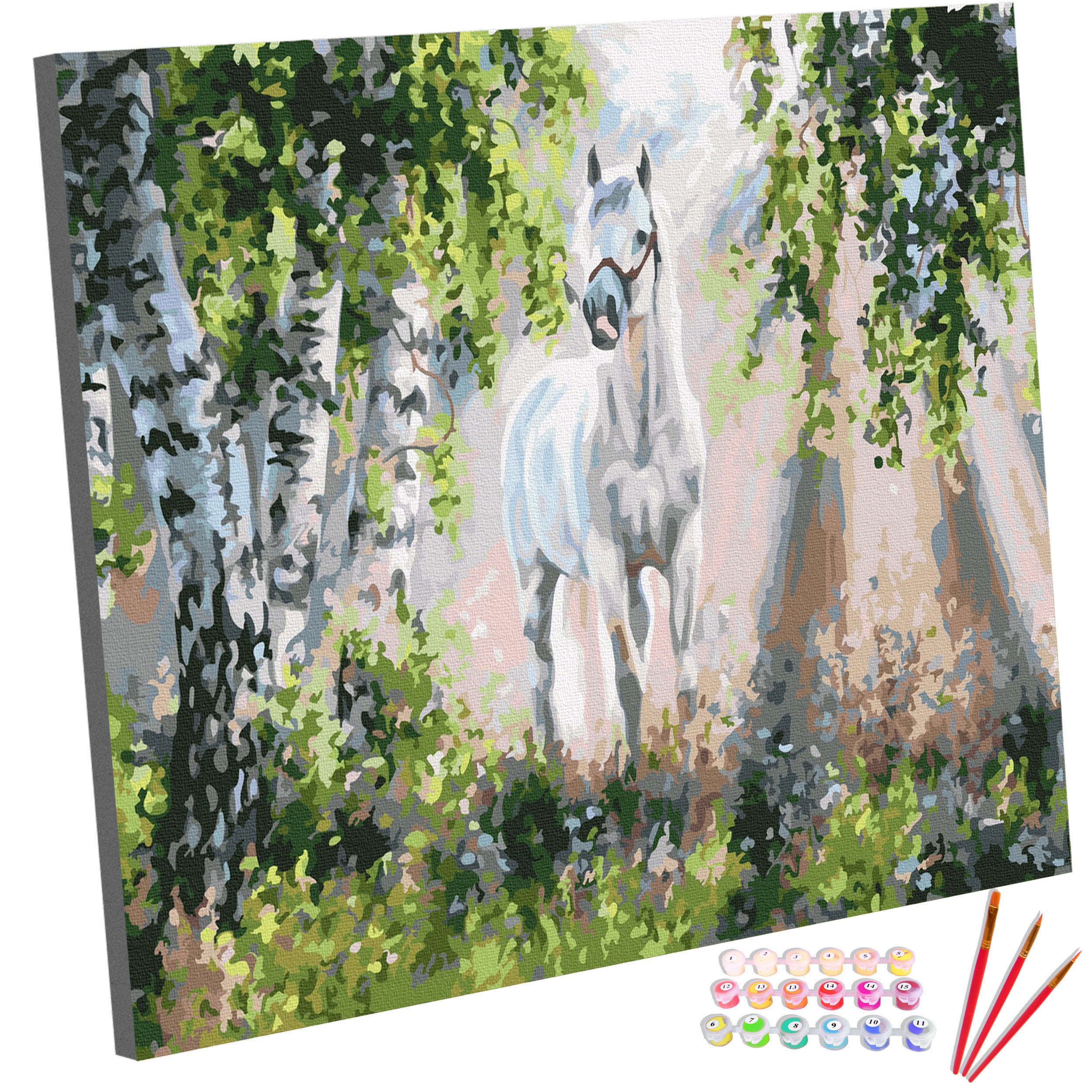 Sada Obraz na malování Malování Podle Čísel Na rámu Kůň 40x50 cm