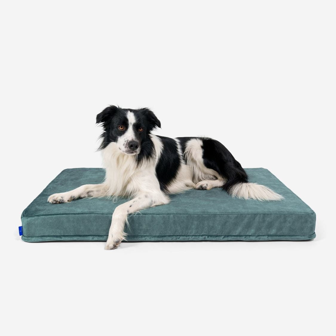 Levně Ortopedická Matrace pro psy Petformed L zelená