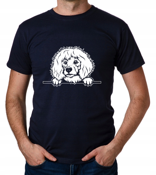 

koszulka Pudel Duży Poodle Pies Dog Piesek prezent