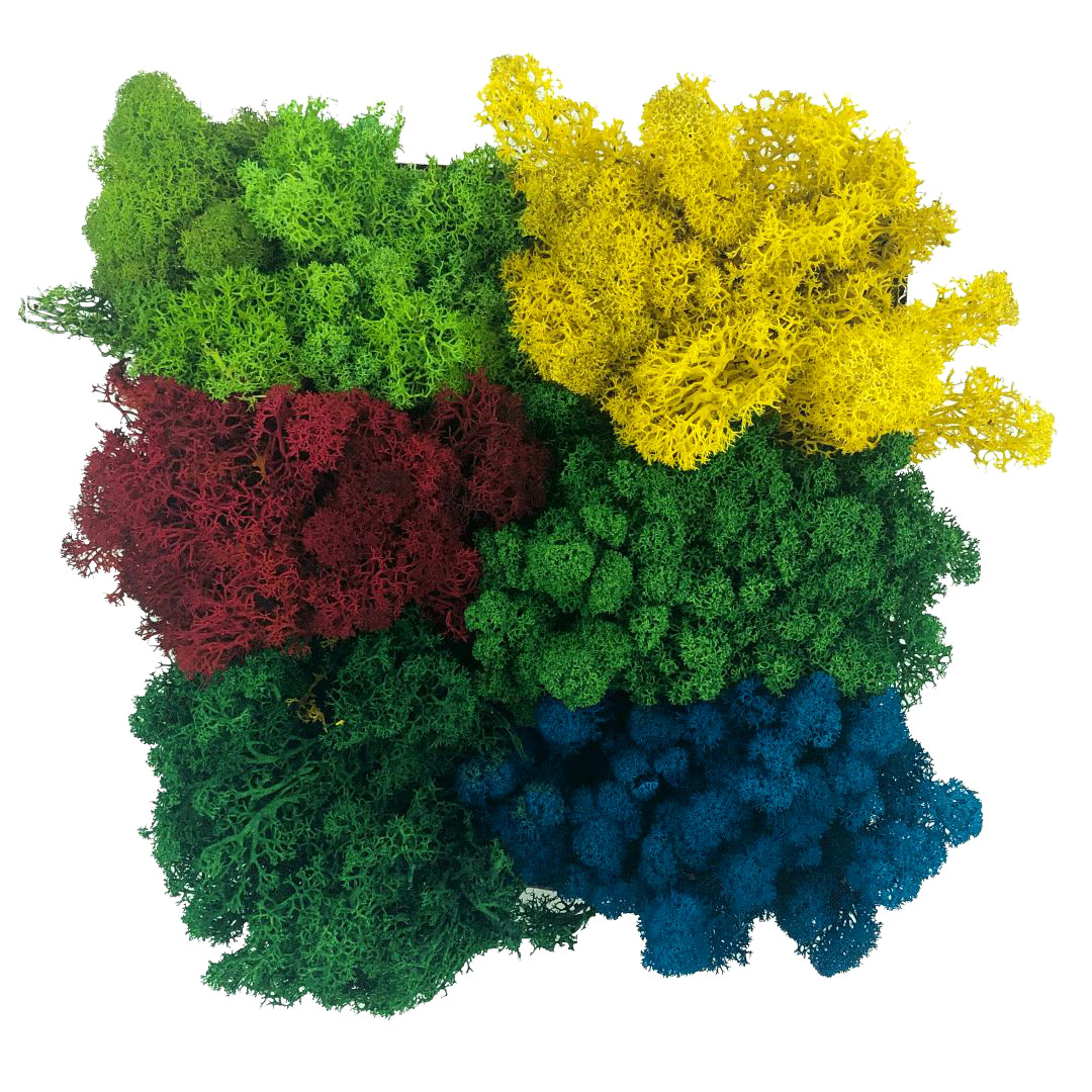 Mech Chrobotek 500g - цвета