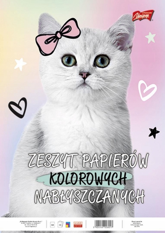 

Zeszyt Blok kolorowy A4 10 kartek St. Majewski