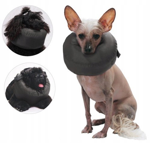 Levně Grande Finale Pooperační límec velikost 6 [WET/K/6]