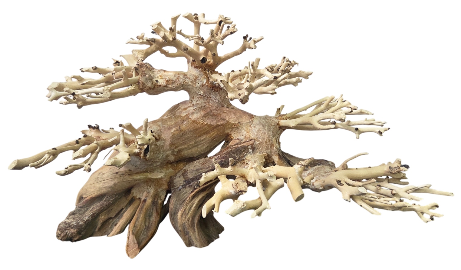 Stromek Bonsai Akvárium červená moor dekorace driftwood 26x11x17 cm Velikost S