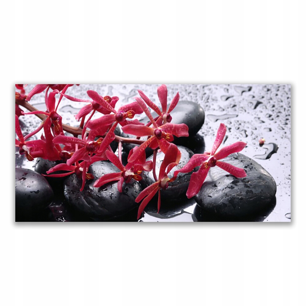 

Fotoobraz z grafiką 120x60 Kwiat Kamienie Sztuka