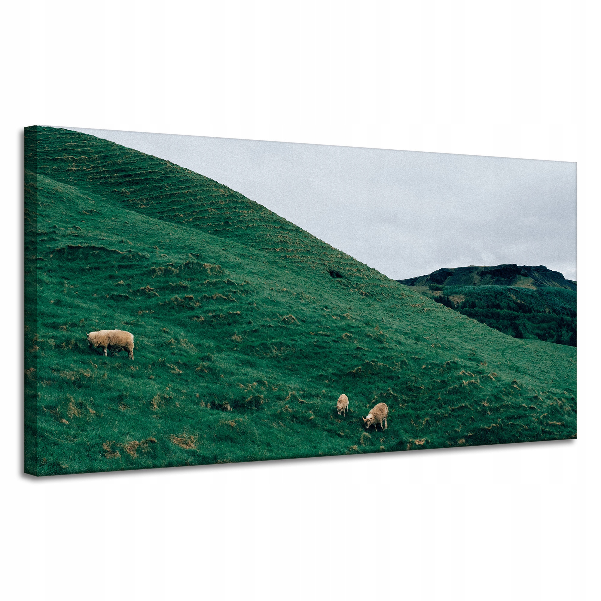 Obraz Canvas Příroda Pastvina v horách 120x60 cm