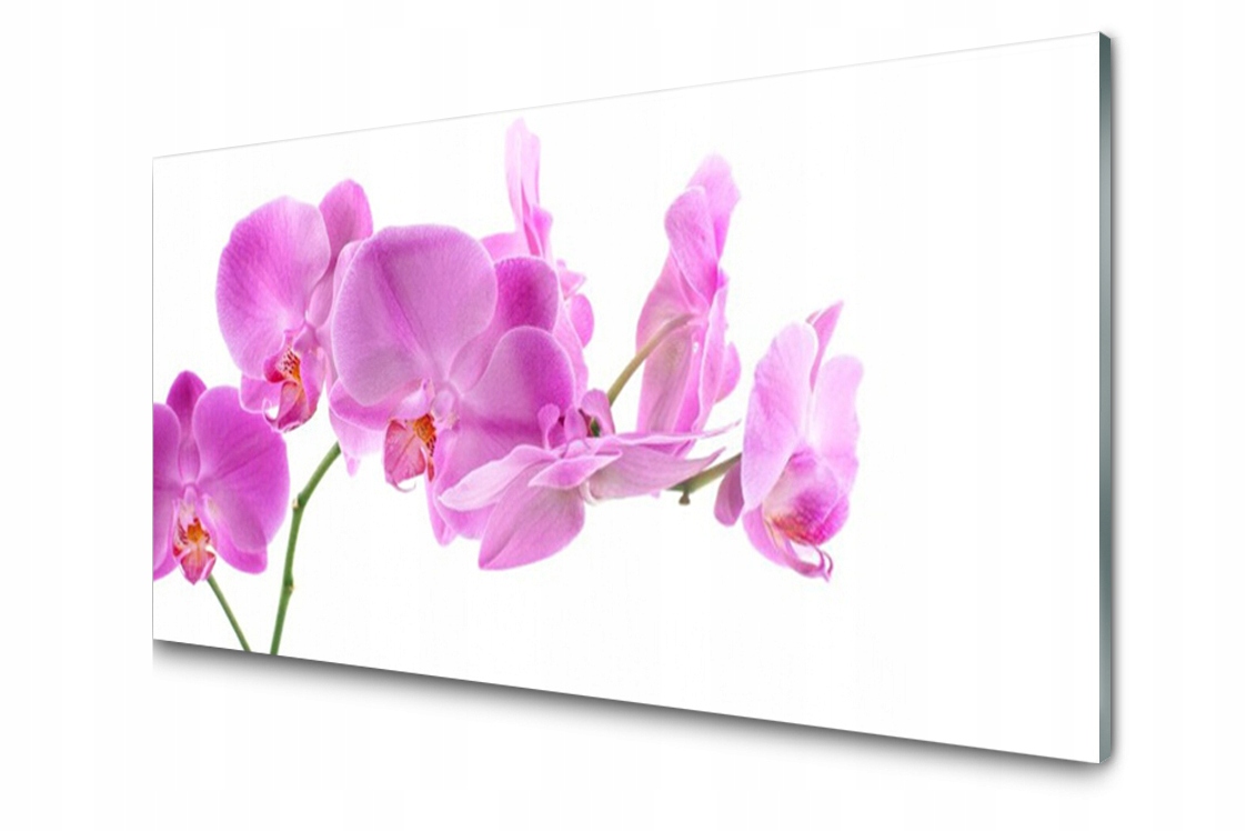 

Panel szklany dekor Kwiaty Roślina 120x60 + Klej